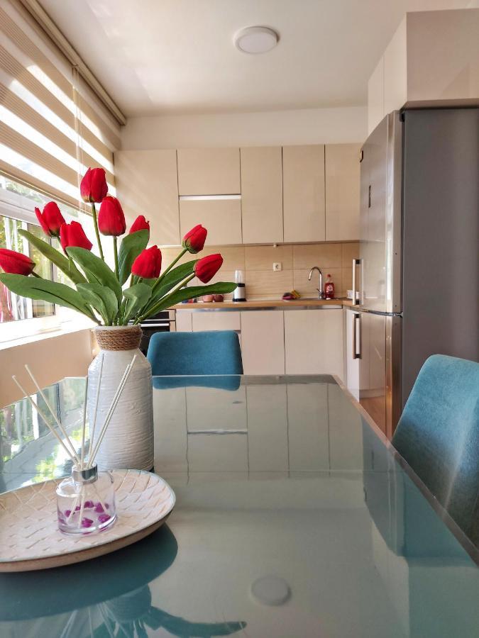 Apartment Merdovic
